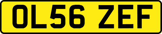 OL56ZEF