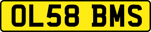 OL58BMS