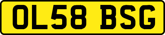 OL58BSG