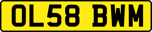 OL58BWM