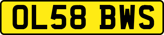 OL58BWS