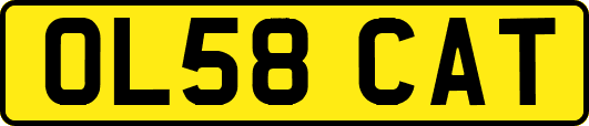 OL58CAT