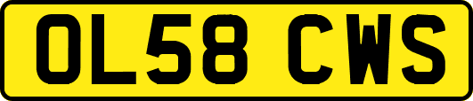 OL58CWS