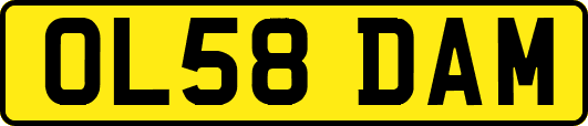 OL58DAM