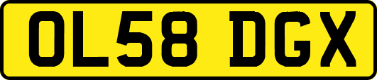 OL58DGX