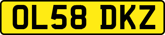 OL58DKZ