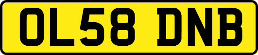 OL58DNB
