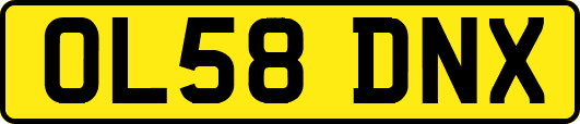OL58DNX