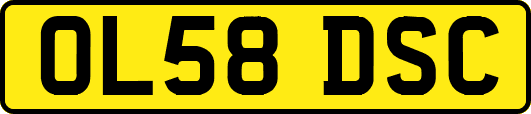 OL58DSC