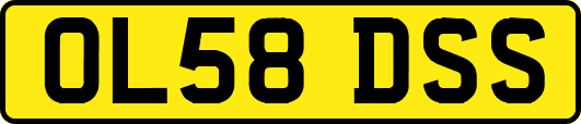 OL58DSS