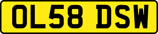 OL58DSW