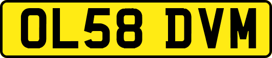 OL58DVM