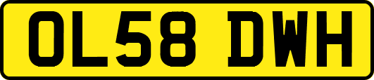 OL58DWH