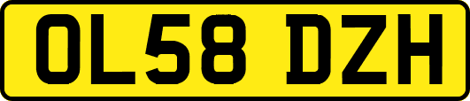 OL58DZH