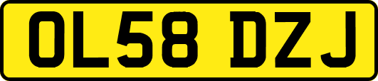 OL58DZJ