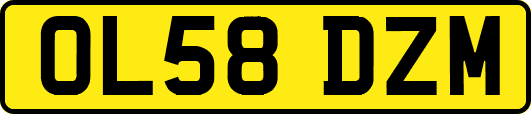 OL58DZM