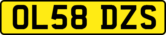 OL58DZS