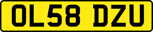 OL58DZU