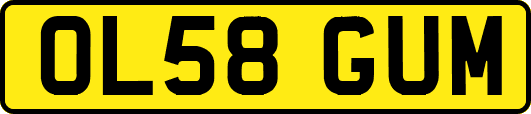 OL58GUM