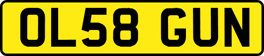 OL58GUN
