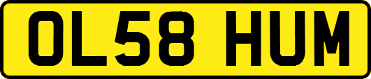 OL58HUM