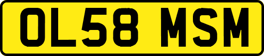 OL58MSM