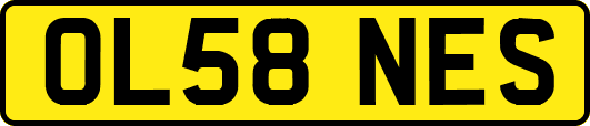 OL58NES