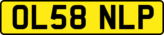 OL58NLP