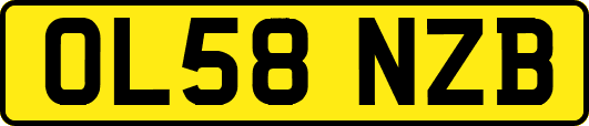 OL58NZB