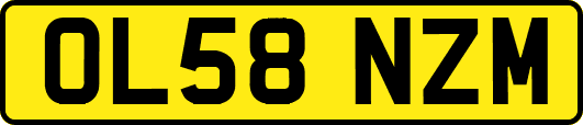 OL58NZM