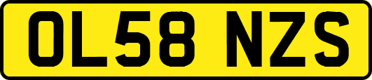 OL58NZS
