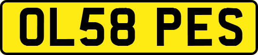 OL58PES