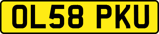 OL58PKU