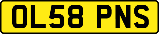 OL58PNS