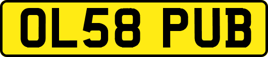 OL58PUB