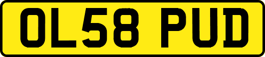 OL58PUD