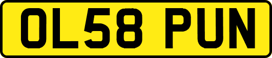 OL58PUN