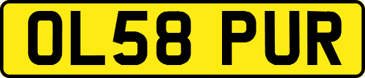 OL58PUR