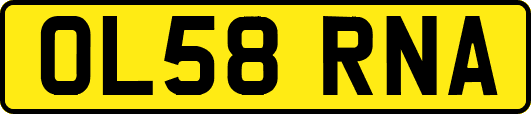 OL58RNA