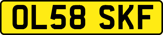 OL58SKF