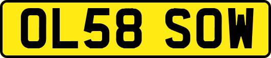 OL58SOW