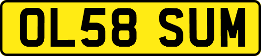 OL58SUM