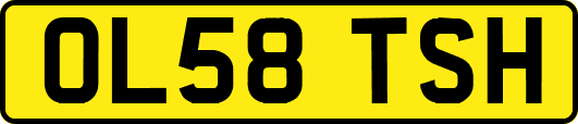 OL58TSH