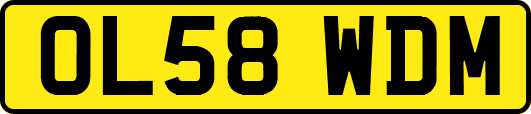 OL58WDM
