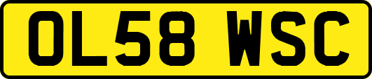 OL58WSC