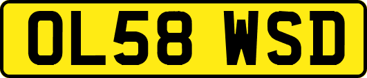 OL58WSD