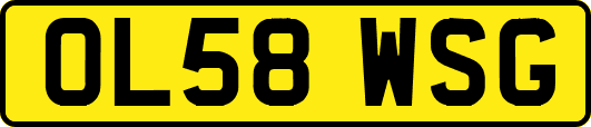 OL58WSG