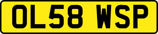 OL58WSP