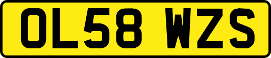 OL58WZS