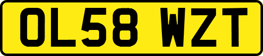 OL58WZT